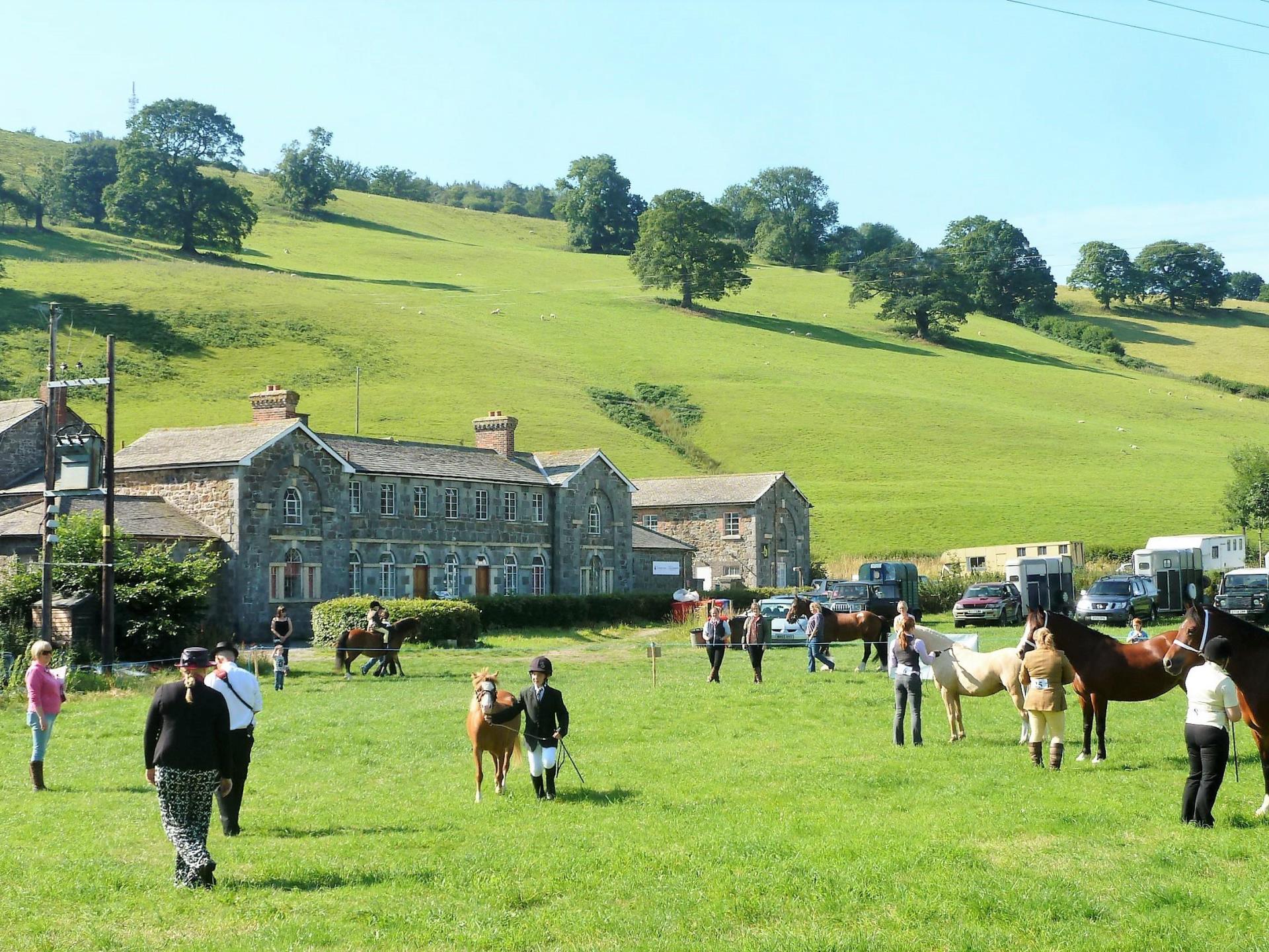 Horse show at Llanfyllin Workhouse