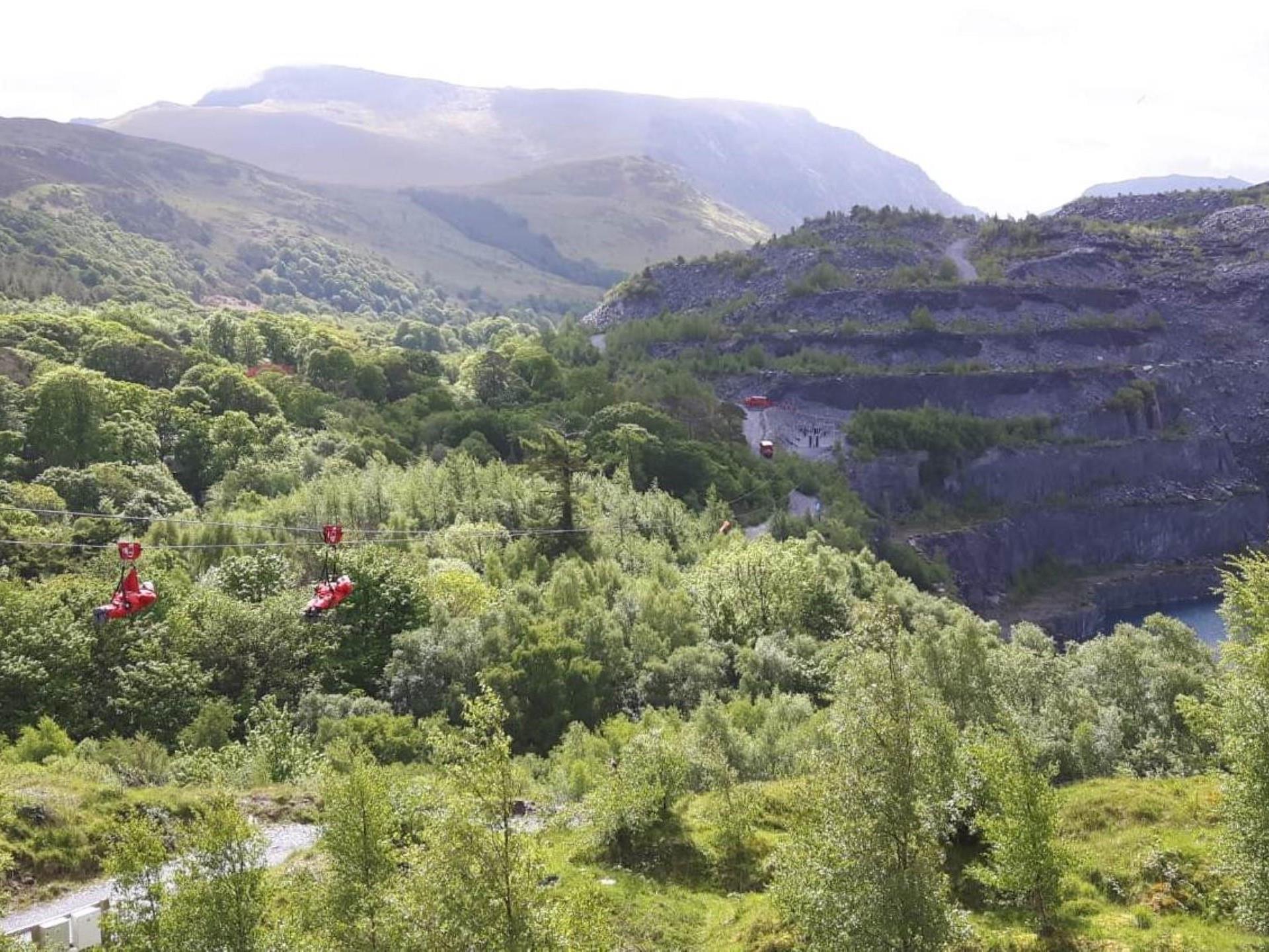 Zip Wire Adventure