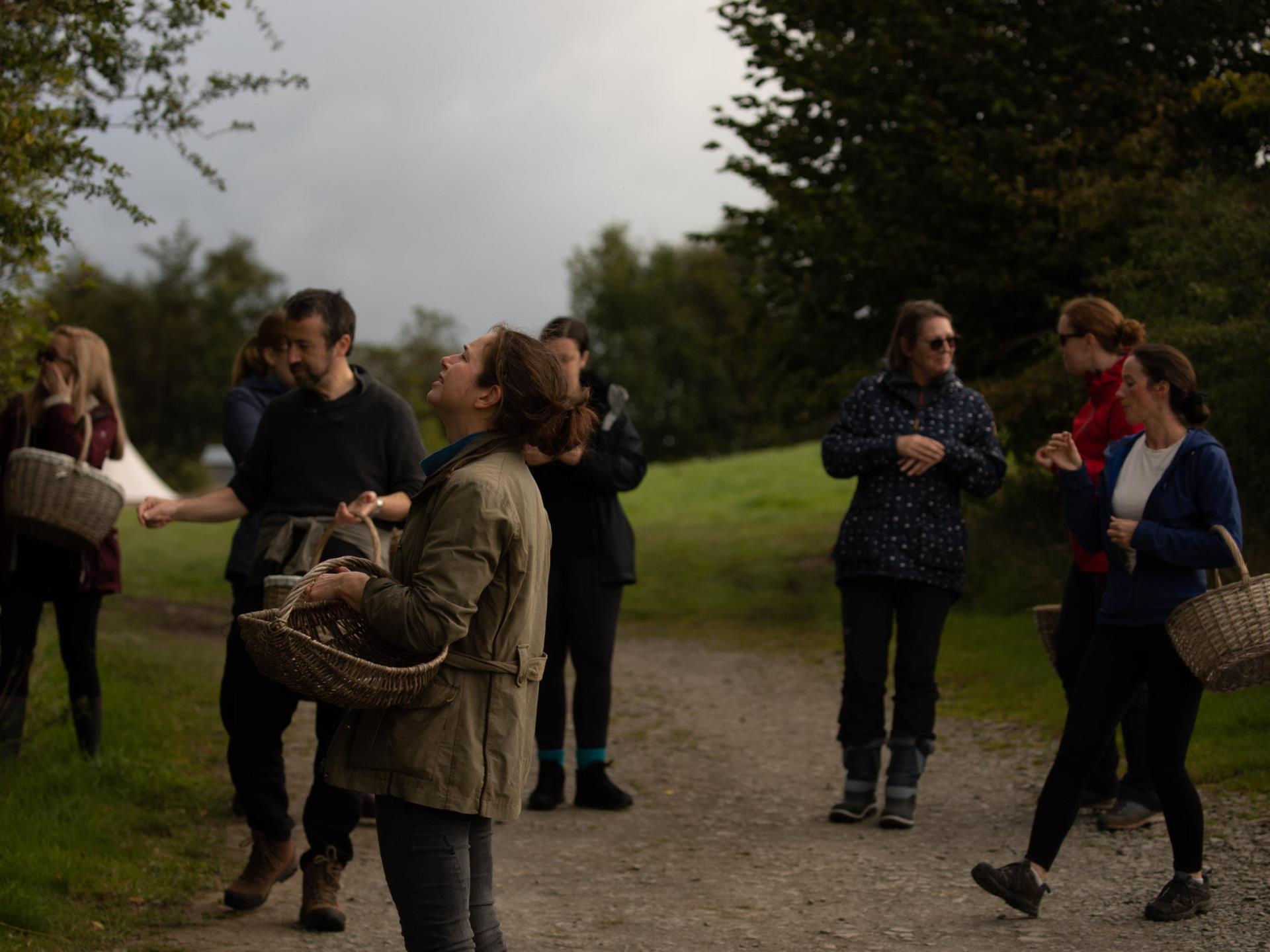 Escape the office and reconnect with nature