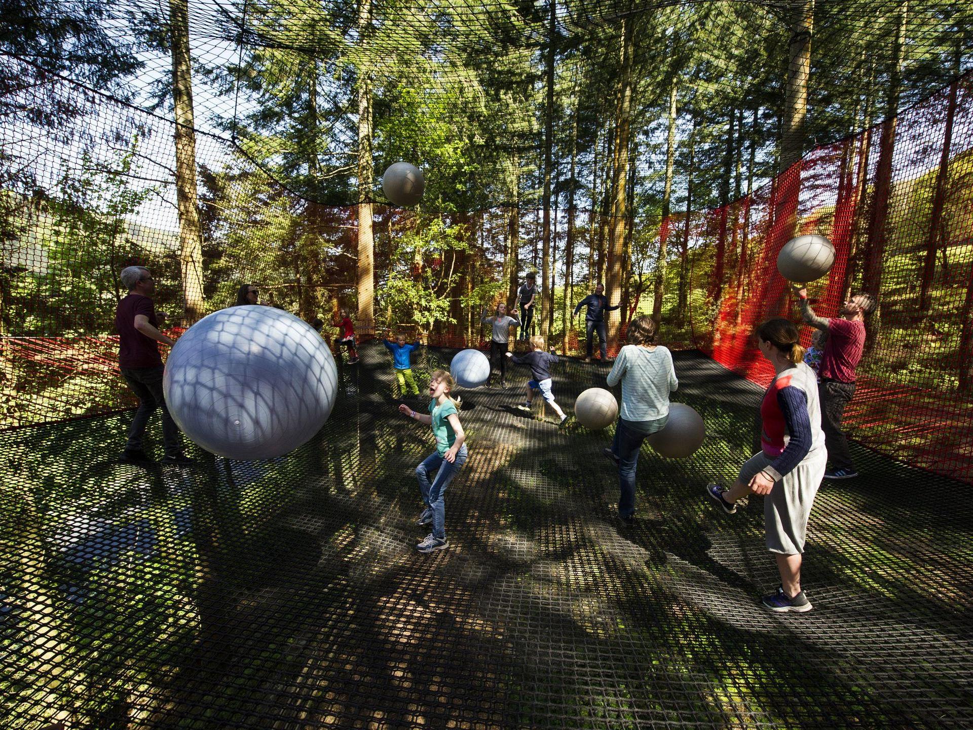 Hop, bounce and slide on Treetop Nets