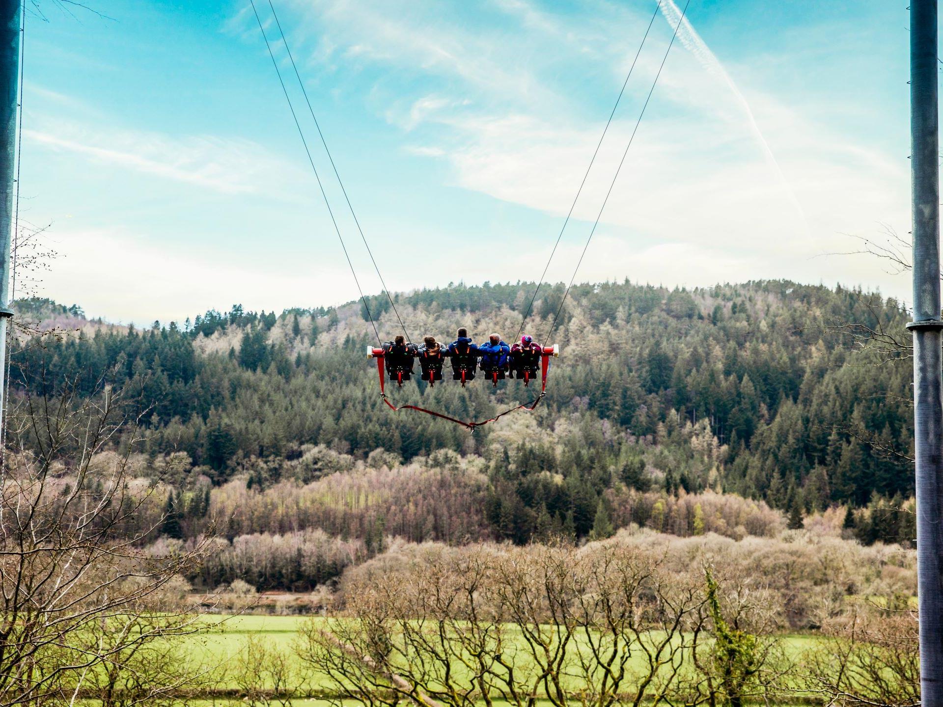 Swing between the trees on Skyride 