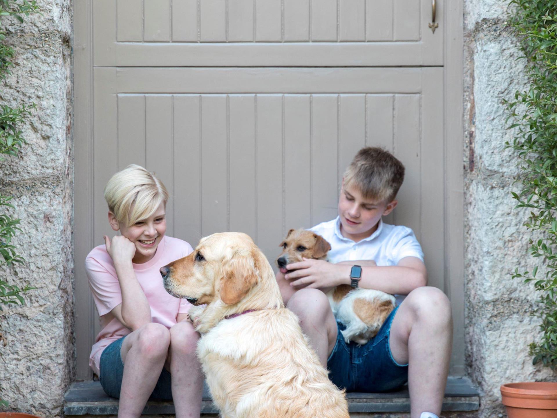 Dog Friendly Cottages