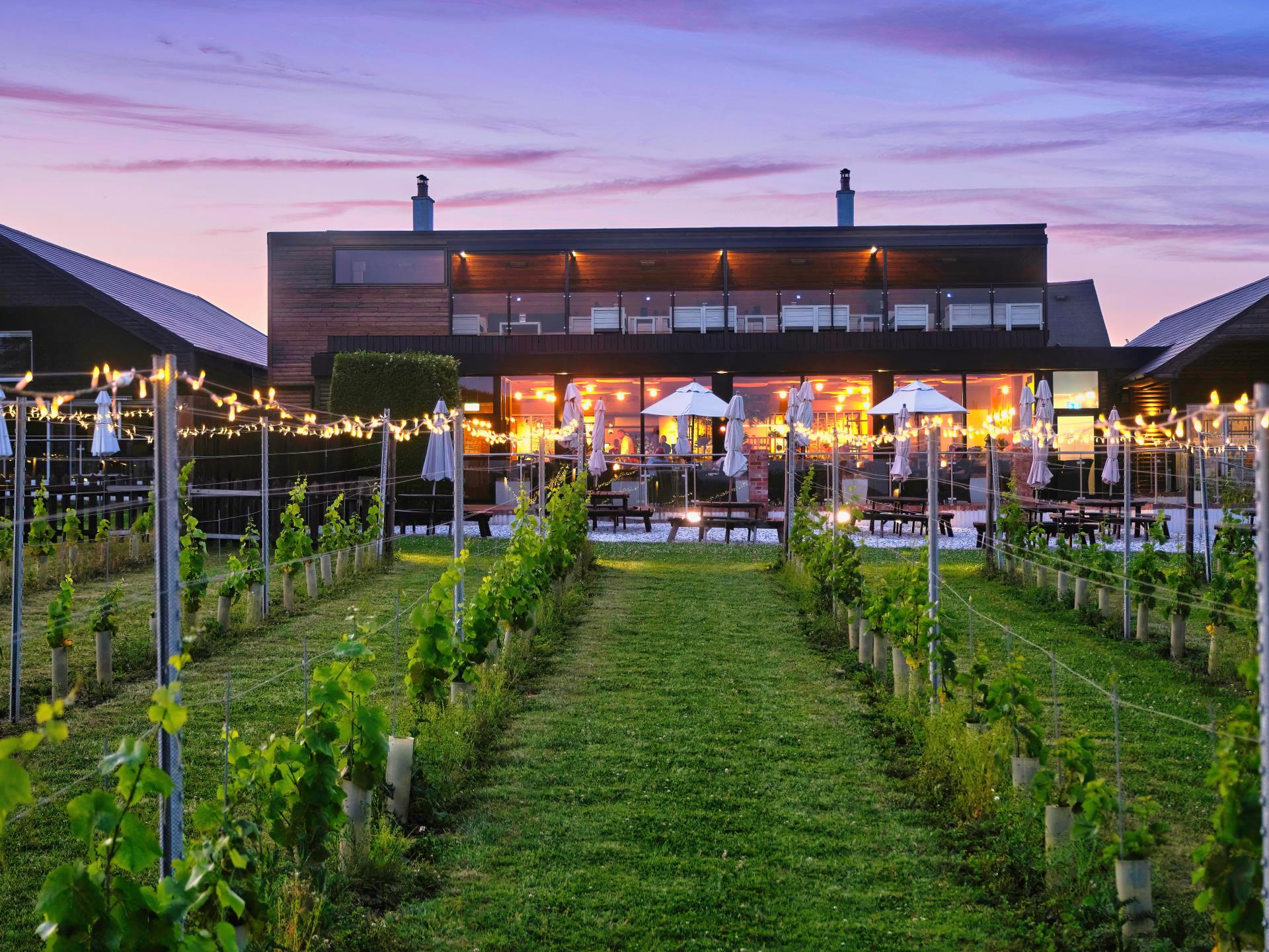 Llanerch Vineyard
