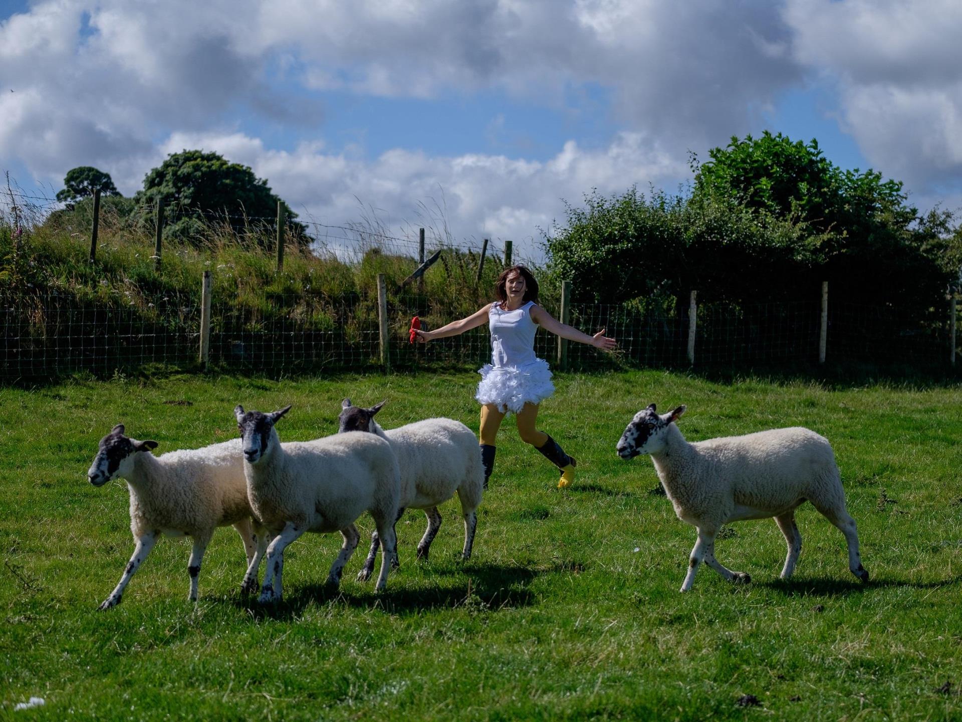 Be at One with the sheep! Hen parties having fun!