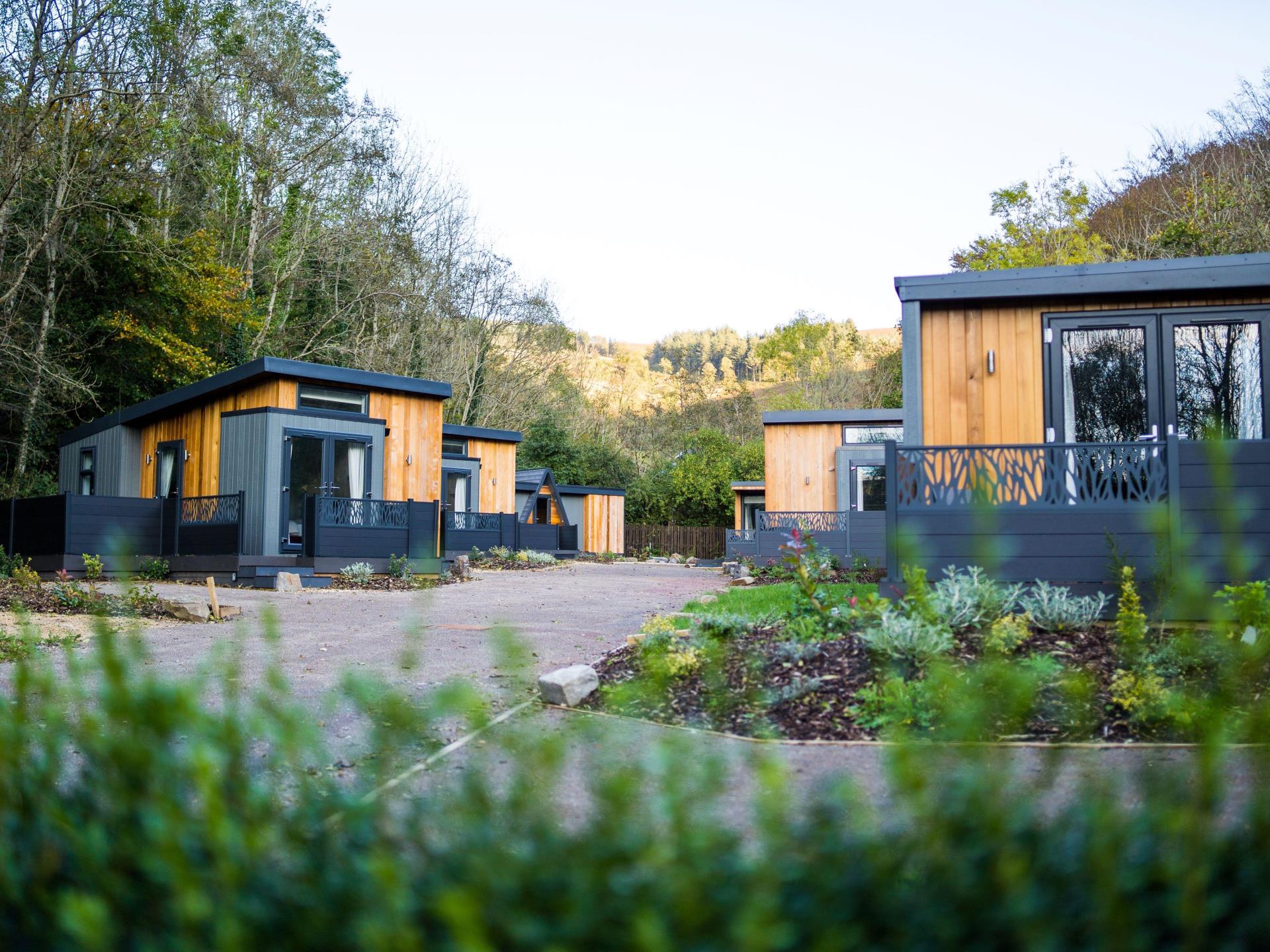 Brand New Lodges at Cwmcarn Forest 