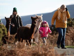 Family Friendly Day Out