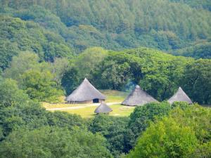 Castell Henllys