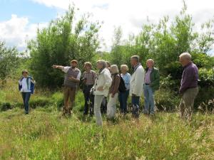 Orchard Tour
