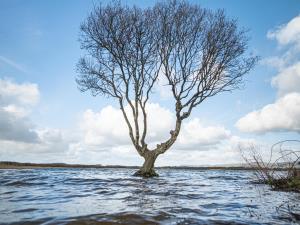 Kenfig Pool
