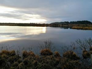 Llyn Llech Owain Country Park | VisitWales