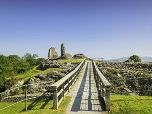 Montgomery Castle