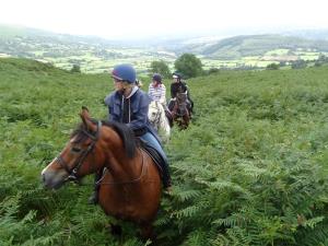 Trail riding with Ellesmere Riding Centre