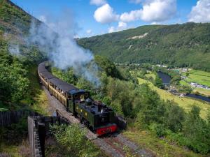 The Rheidol Valley and train