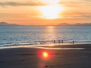 Shell Island | VisitWales