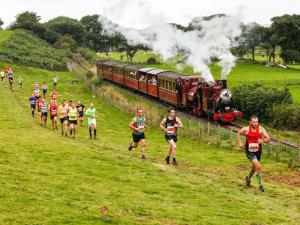 Race the Train