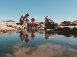 Rock pooling Rest Bay