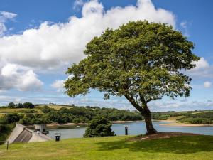 Llys-y-frân Lake & Visitor Centre