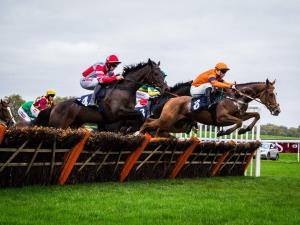 Horses jumping over one of the hurdles