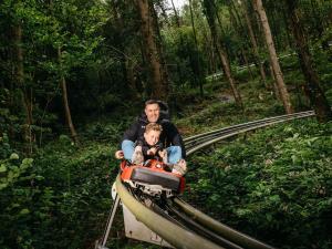 Speed through the trees on the Fforest Coaster