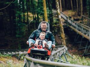 Fforest Coaster can hold two people