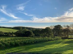 Overlooking Velfrey Vineyard in Pembrokeshire