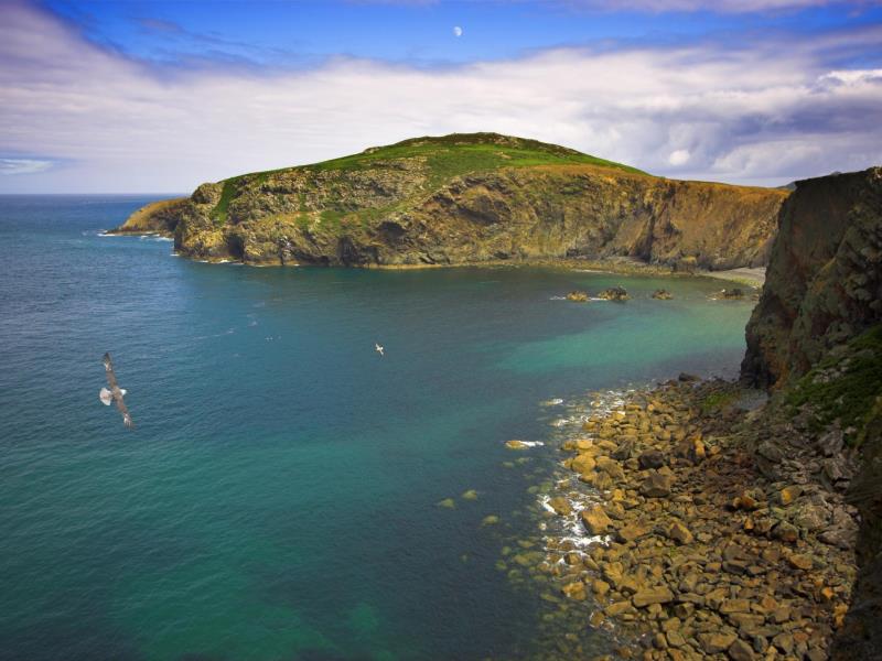 RSPB Ramsey Island Nature Reserve | VisitWales