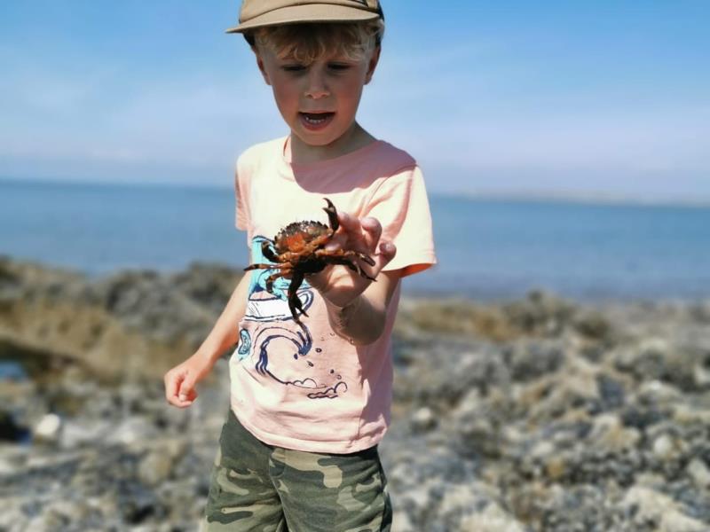 Savage Adventures VisitWales