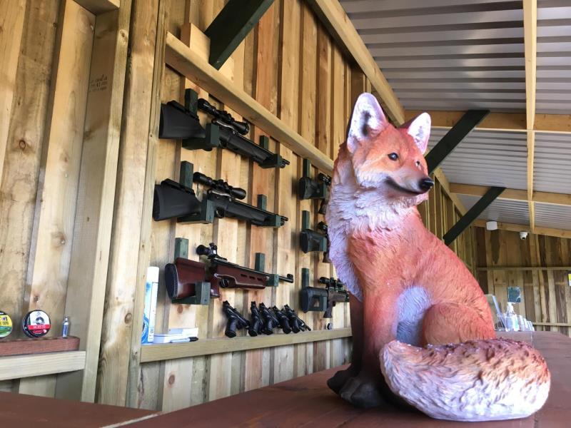 Air Rifle and Pistol Shooting Range VisitWales