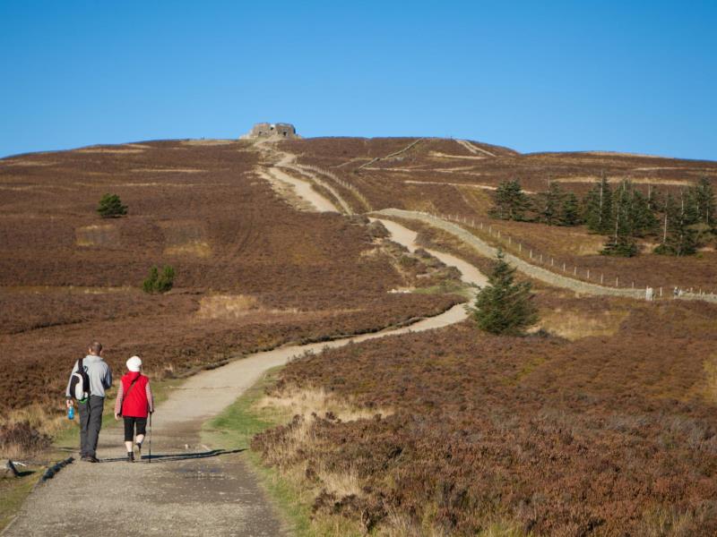 Coed Moel Famau | VisitWales