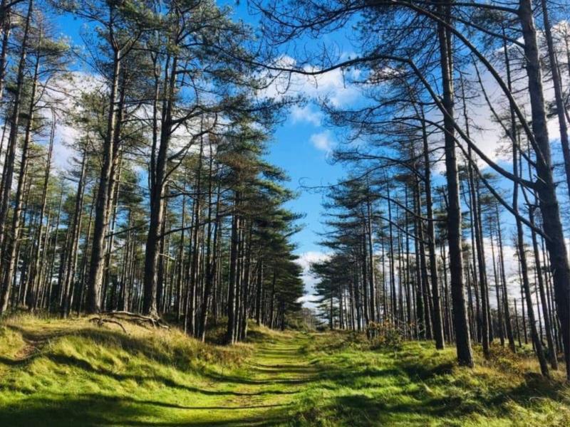 Pembrey Country Park VisitWales