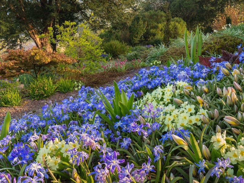 Aberglasney Mansion & Gardens | VisitWales