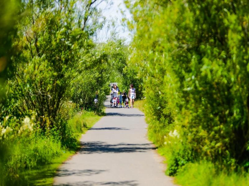 Parc Bryn Bach | VisitWales