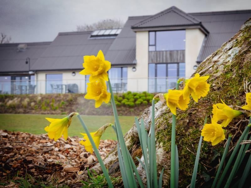 Llysyfrân Lake & Visitor Centre VisitWales