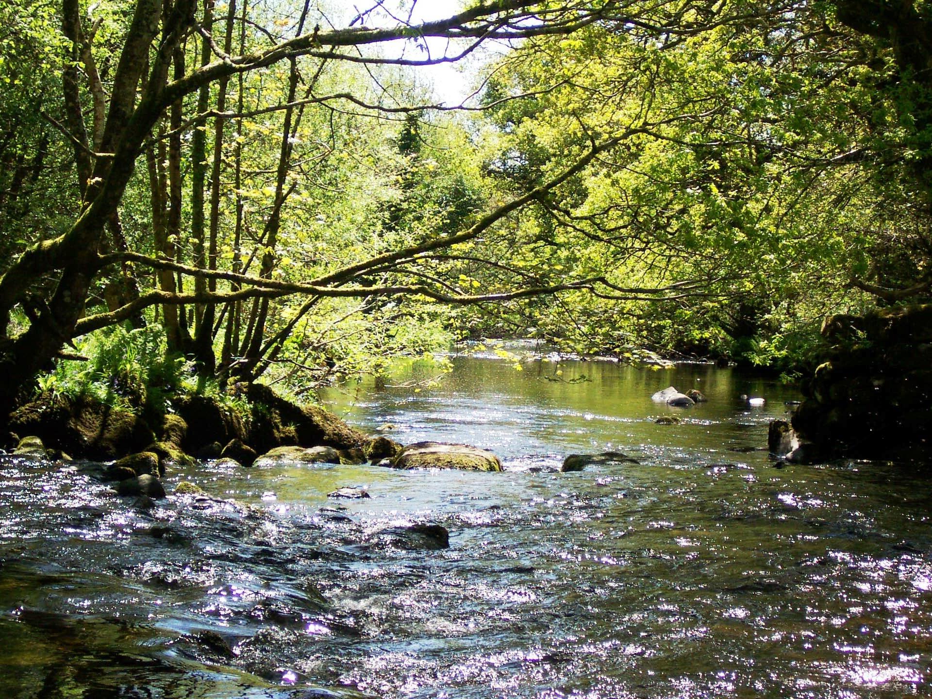 Fishing on the River Dwyfach near to Betws Bach