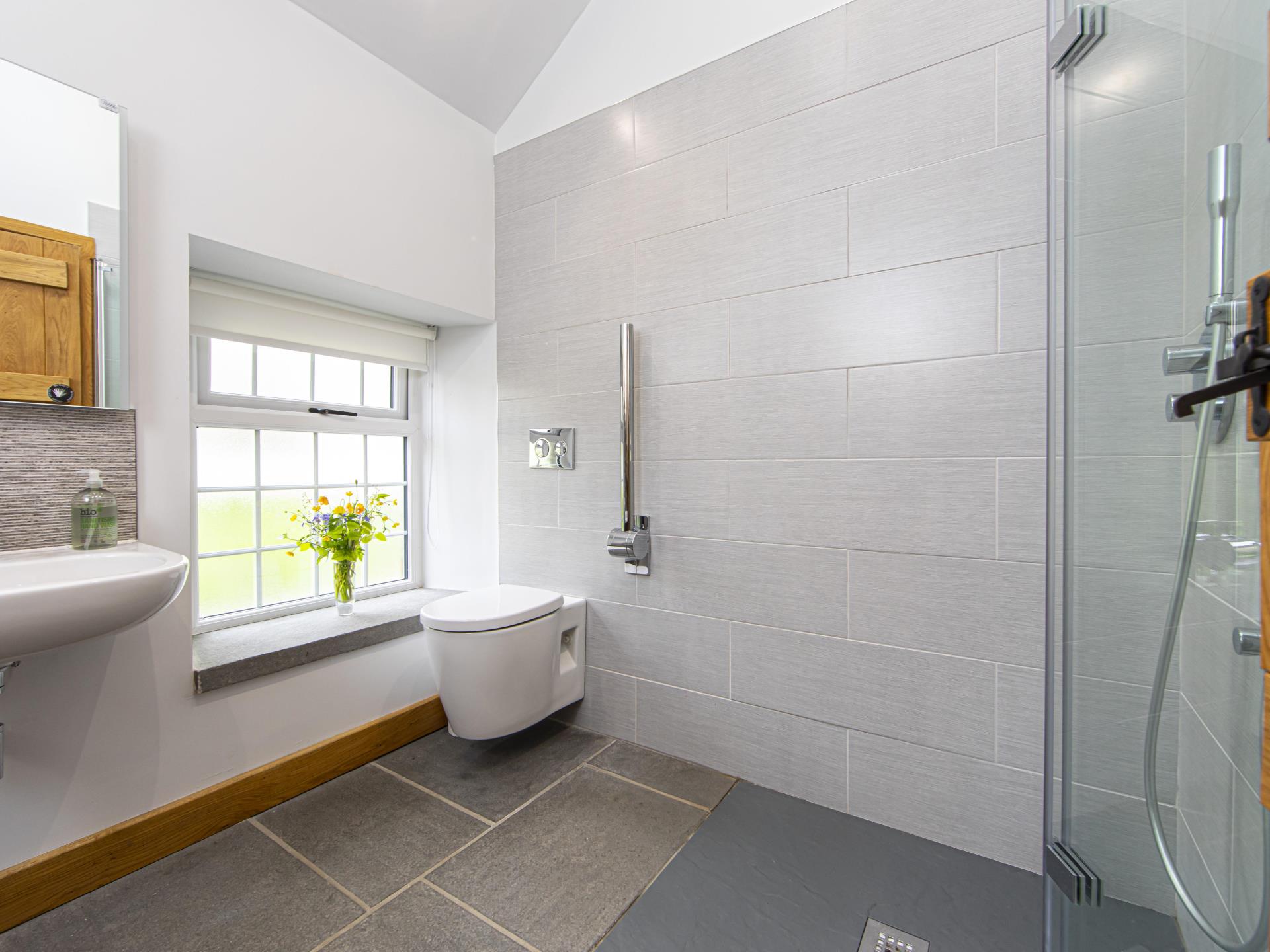 Nant Y Plas: Accessible bathroom