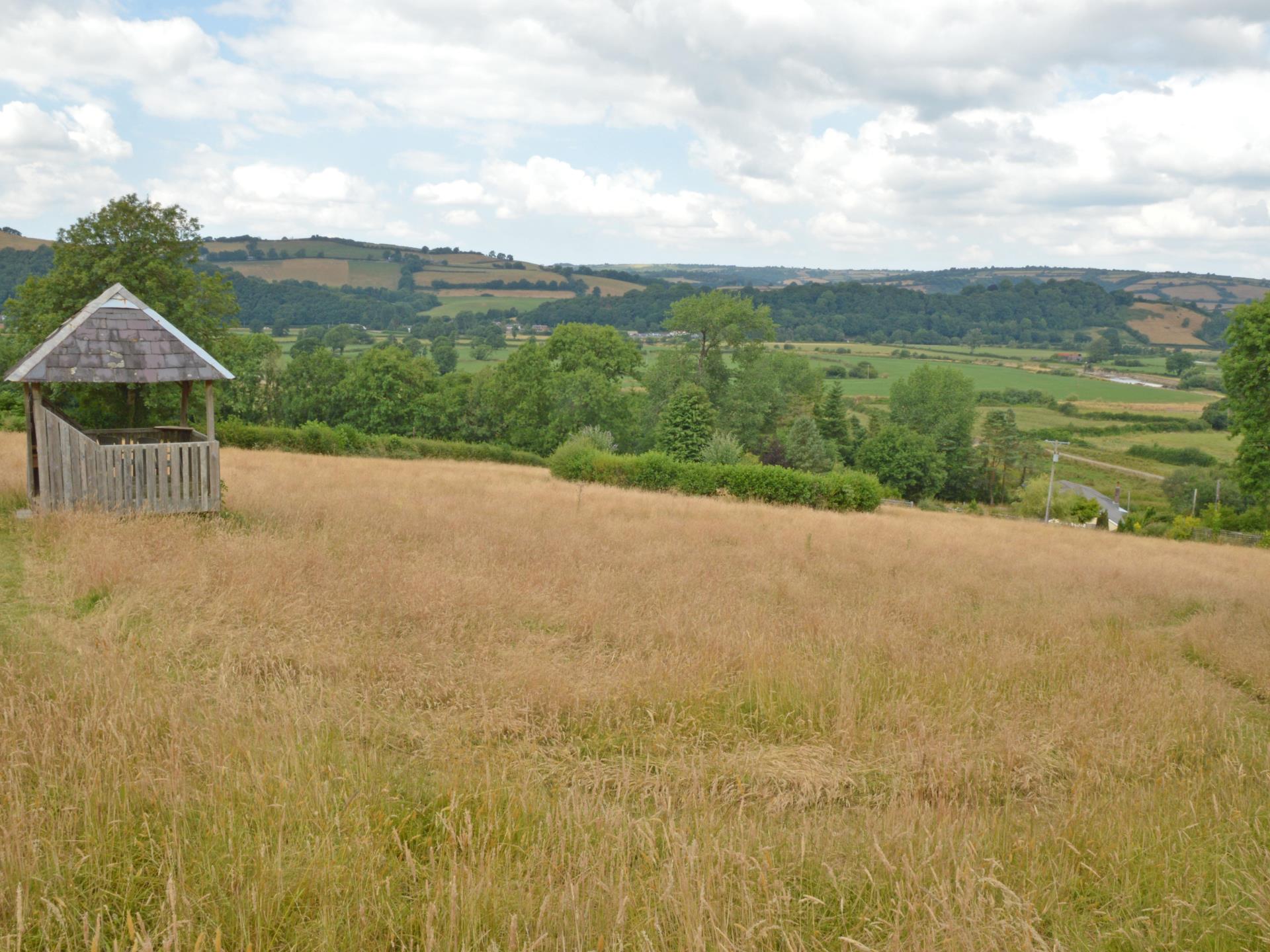 Meadow