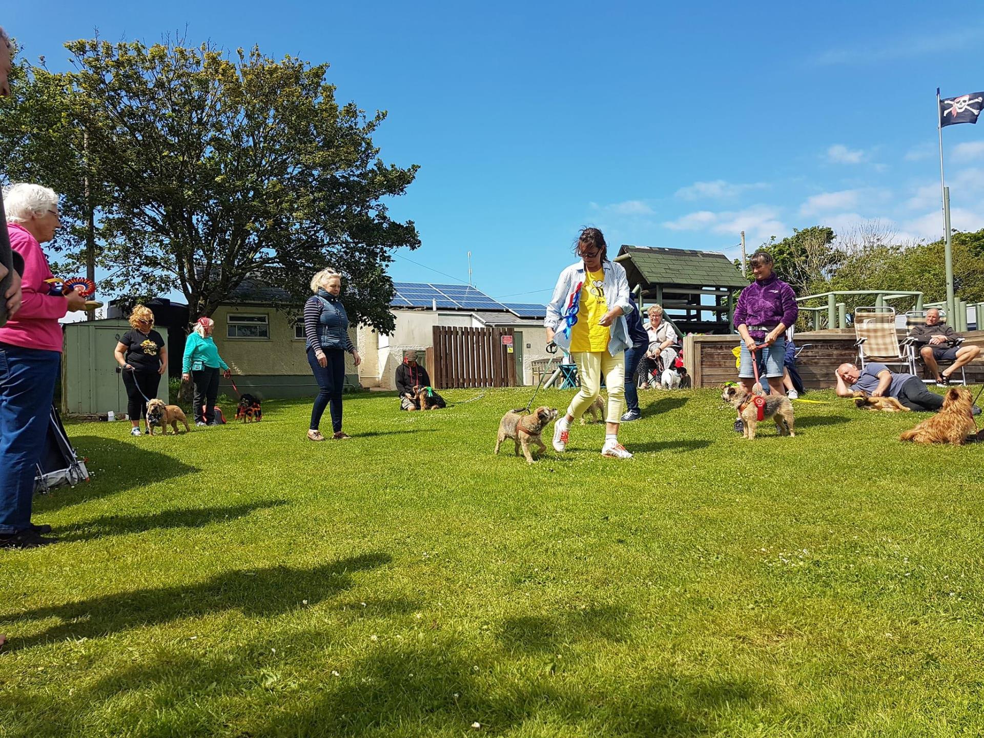 Borderfest Wales dog show