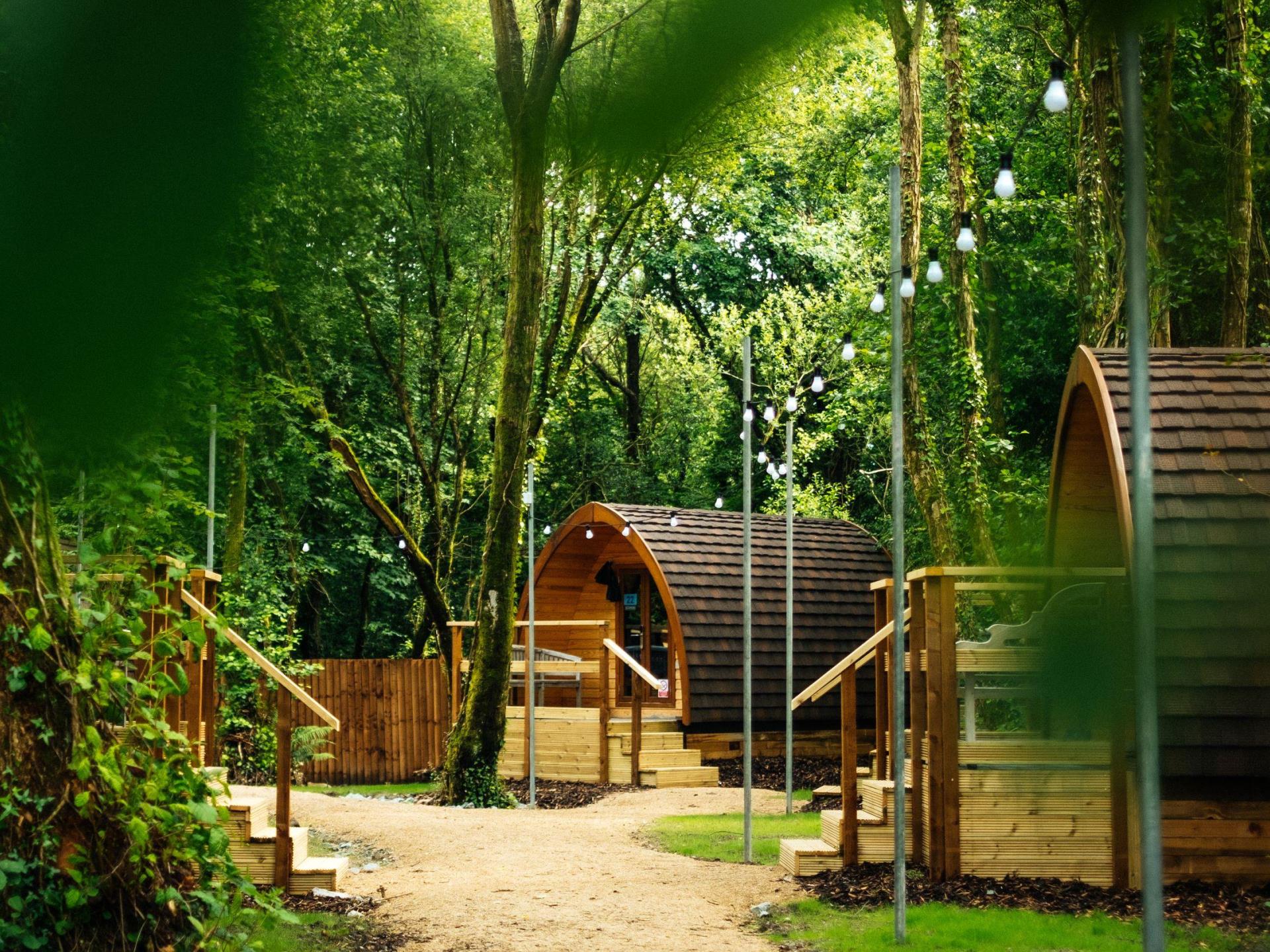 Glamping pods in a woodland setting