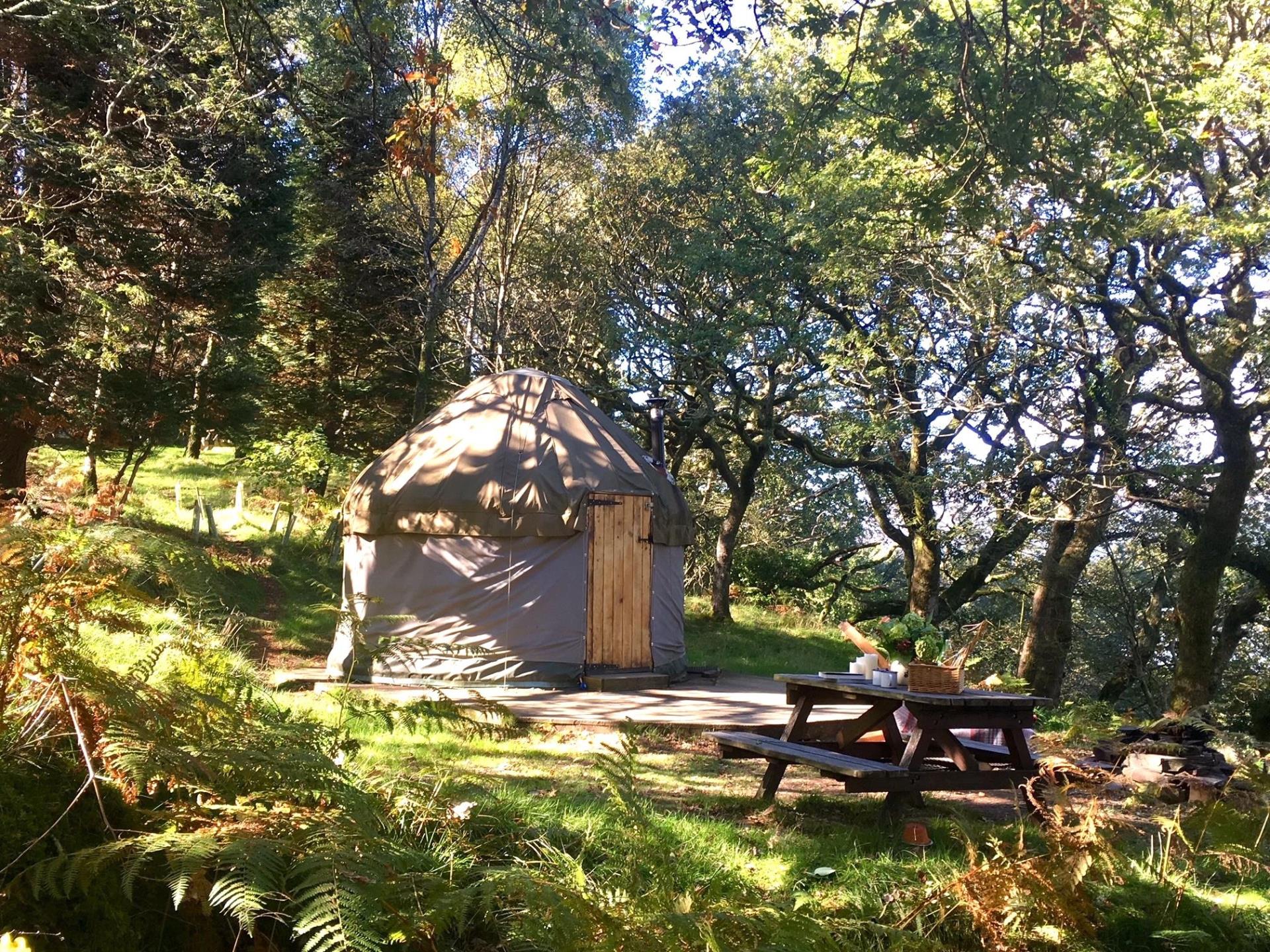 Small yurt at Graig Wen