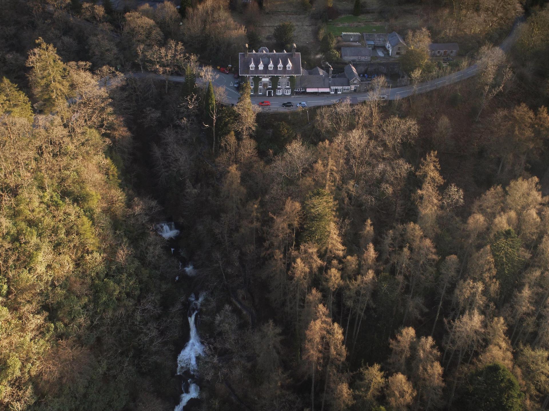 View of the Hafod