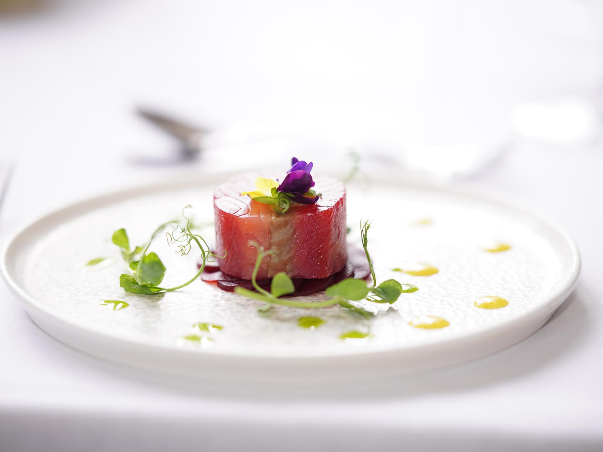 Salmon Starter