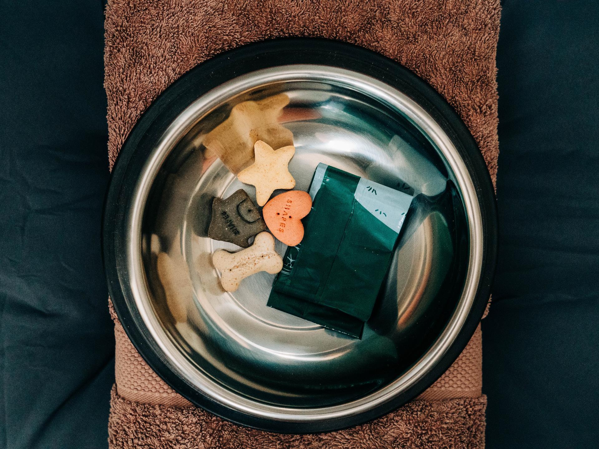 Dog Welcome Pack