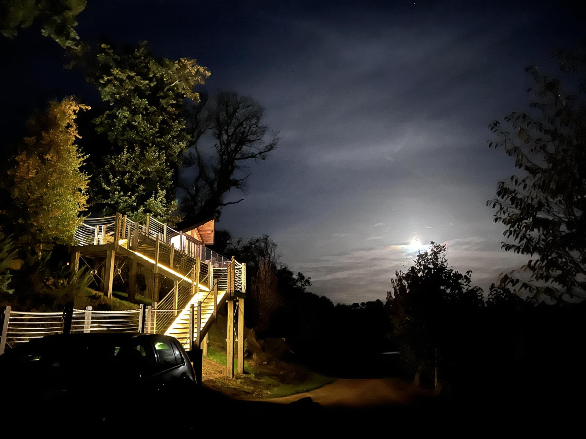 Heartwood treehouse at night