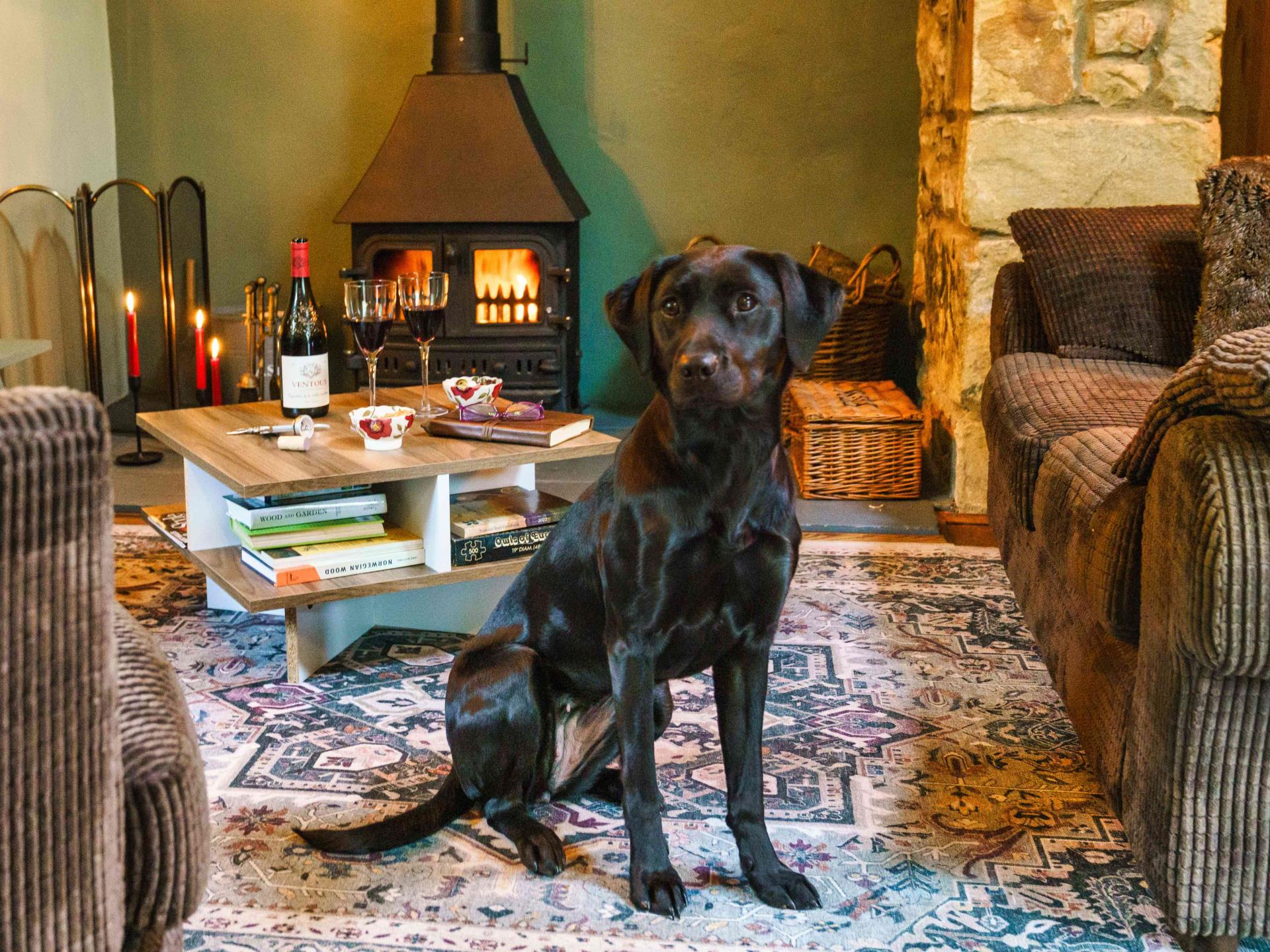 The cottage is dog friendly