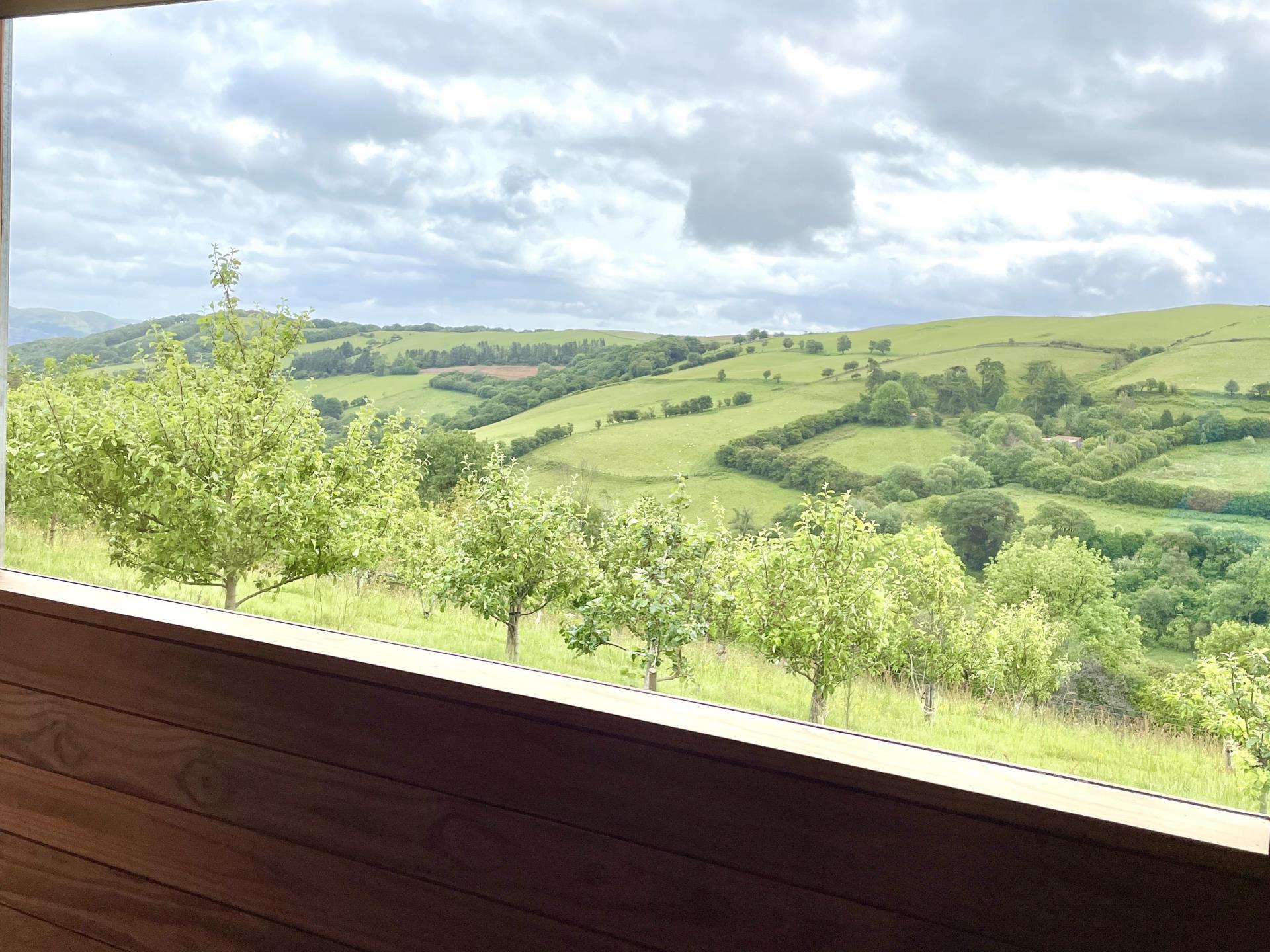 View from the sauna