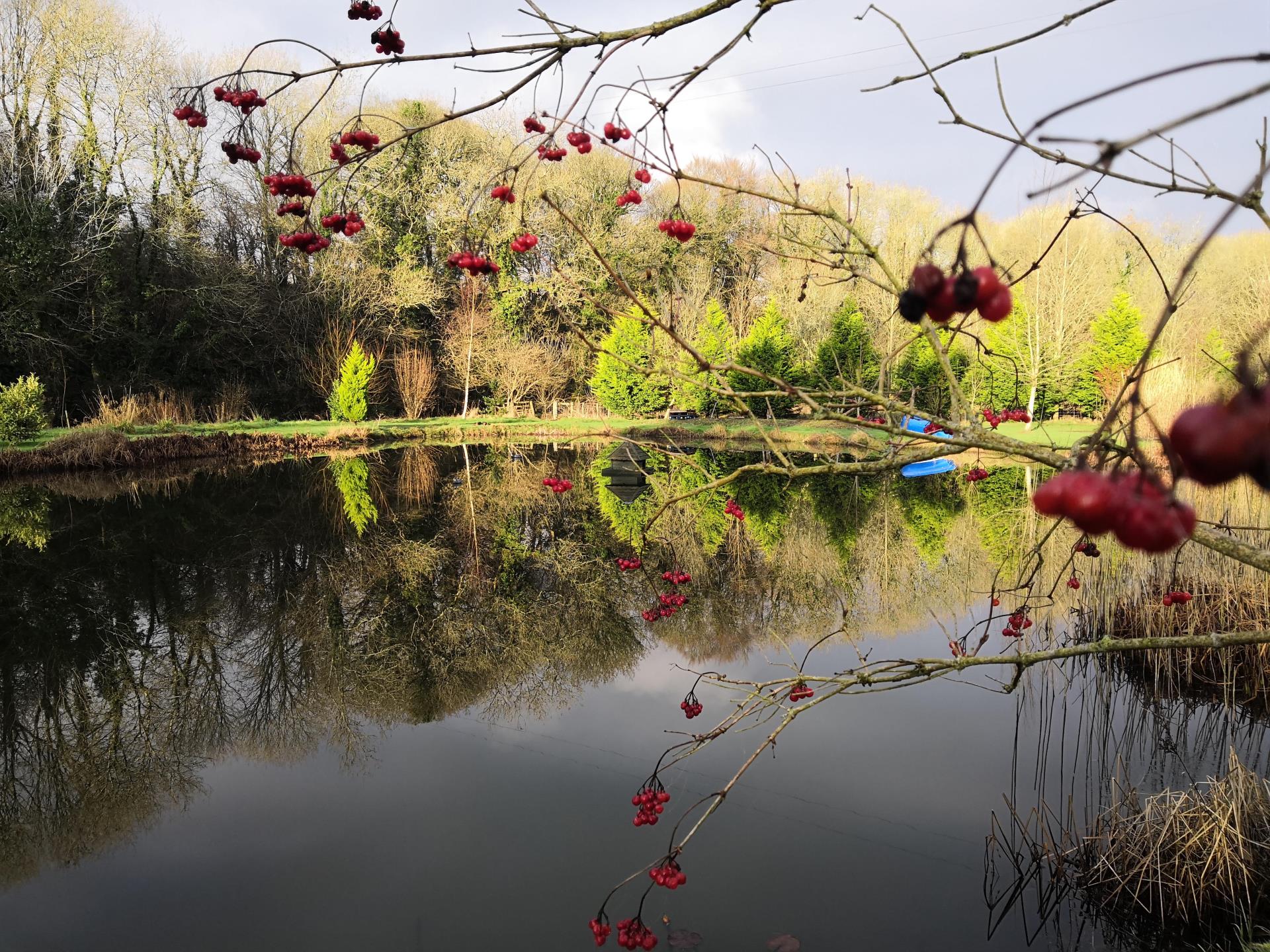 Lake and Gardens