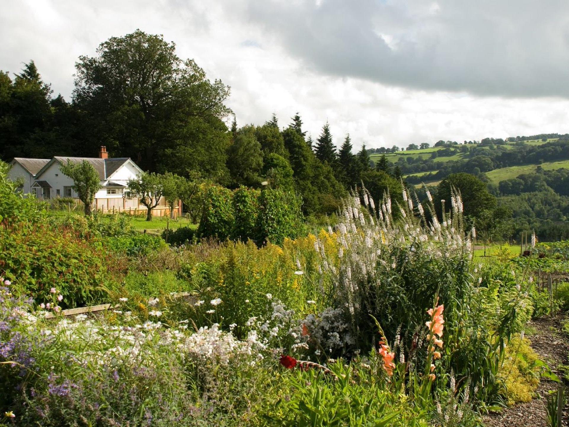 House by the Dyke