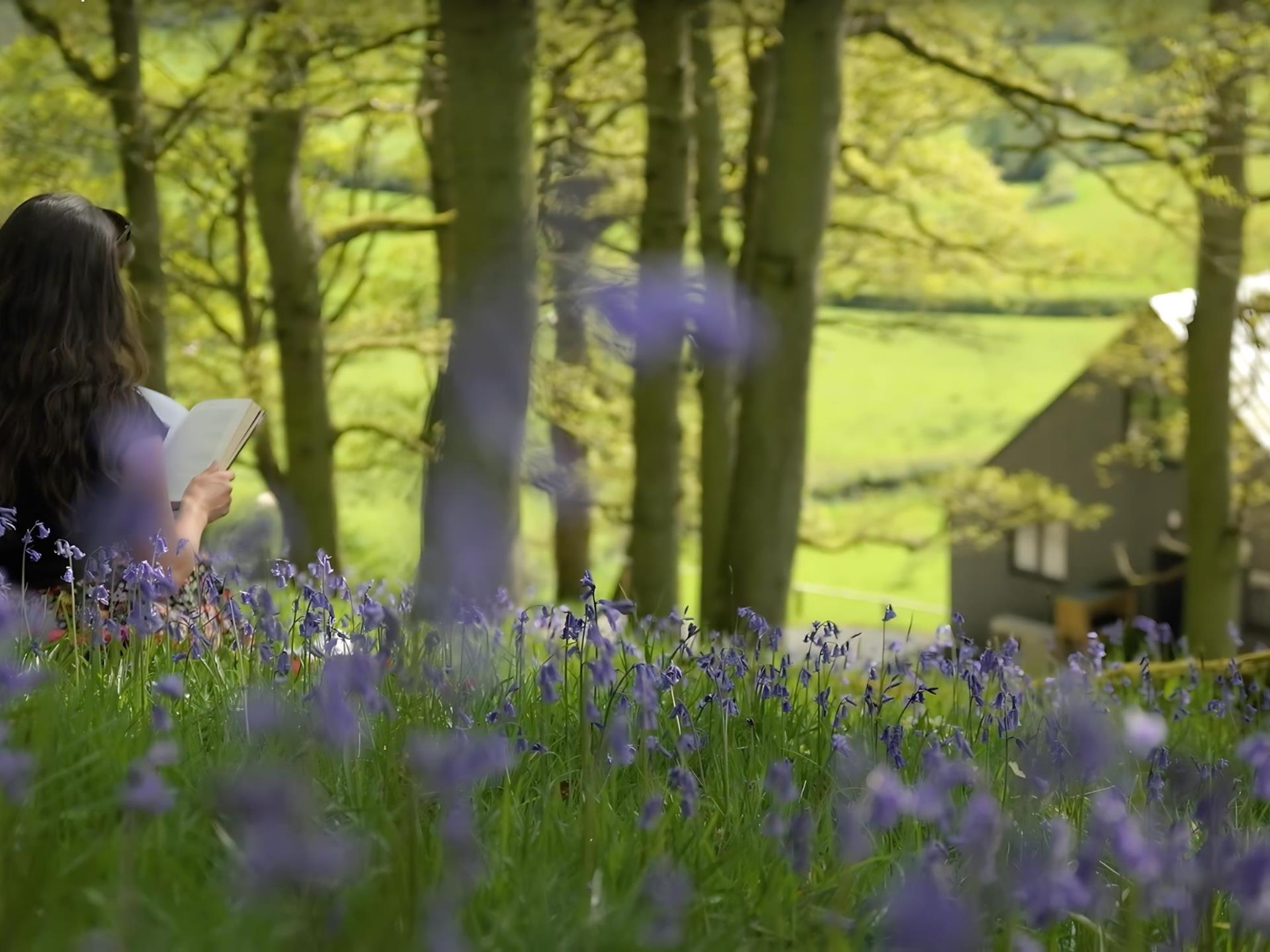 Ancient woodland on your doorstep.