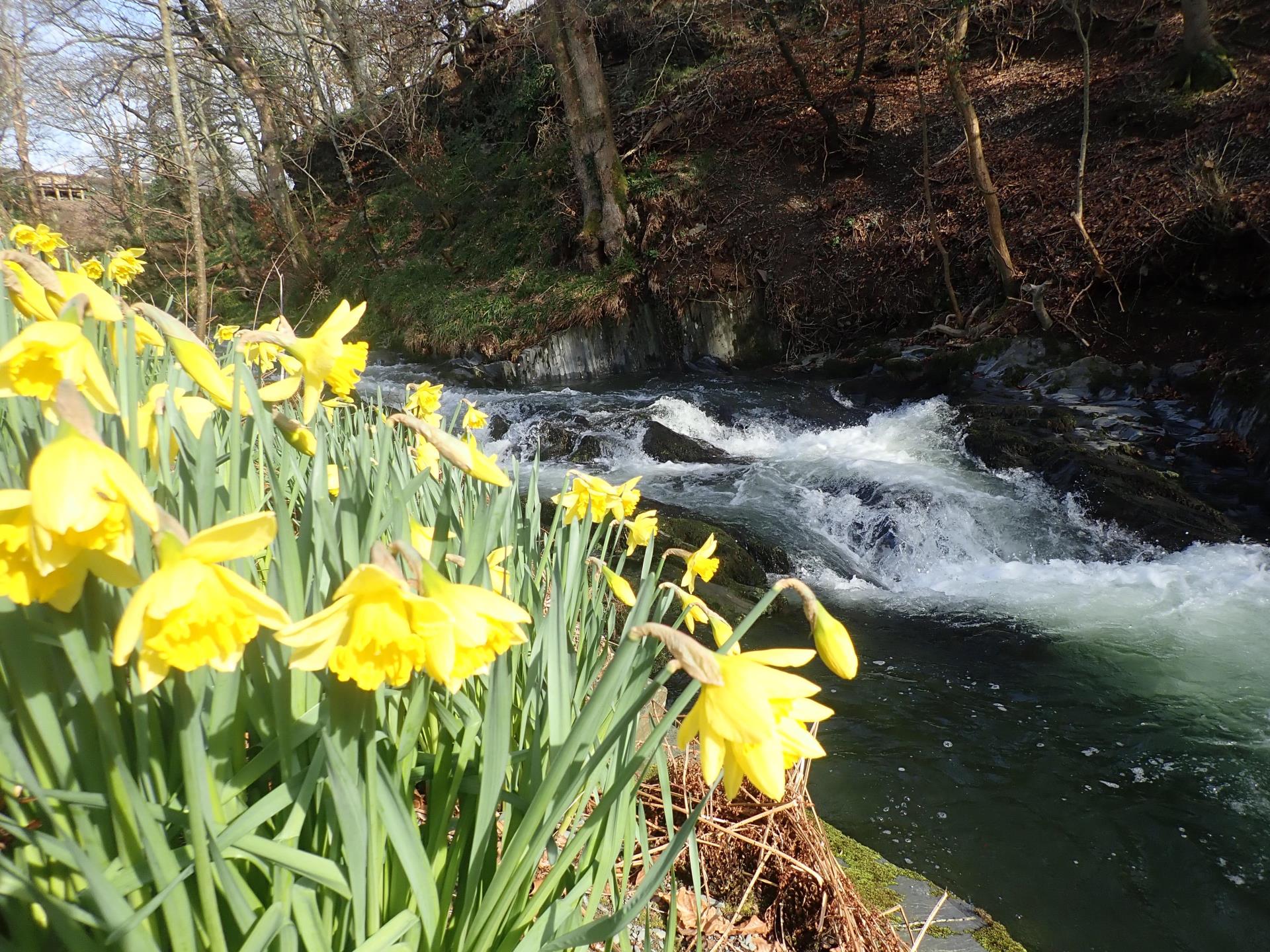 River Crewi