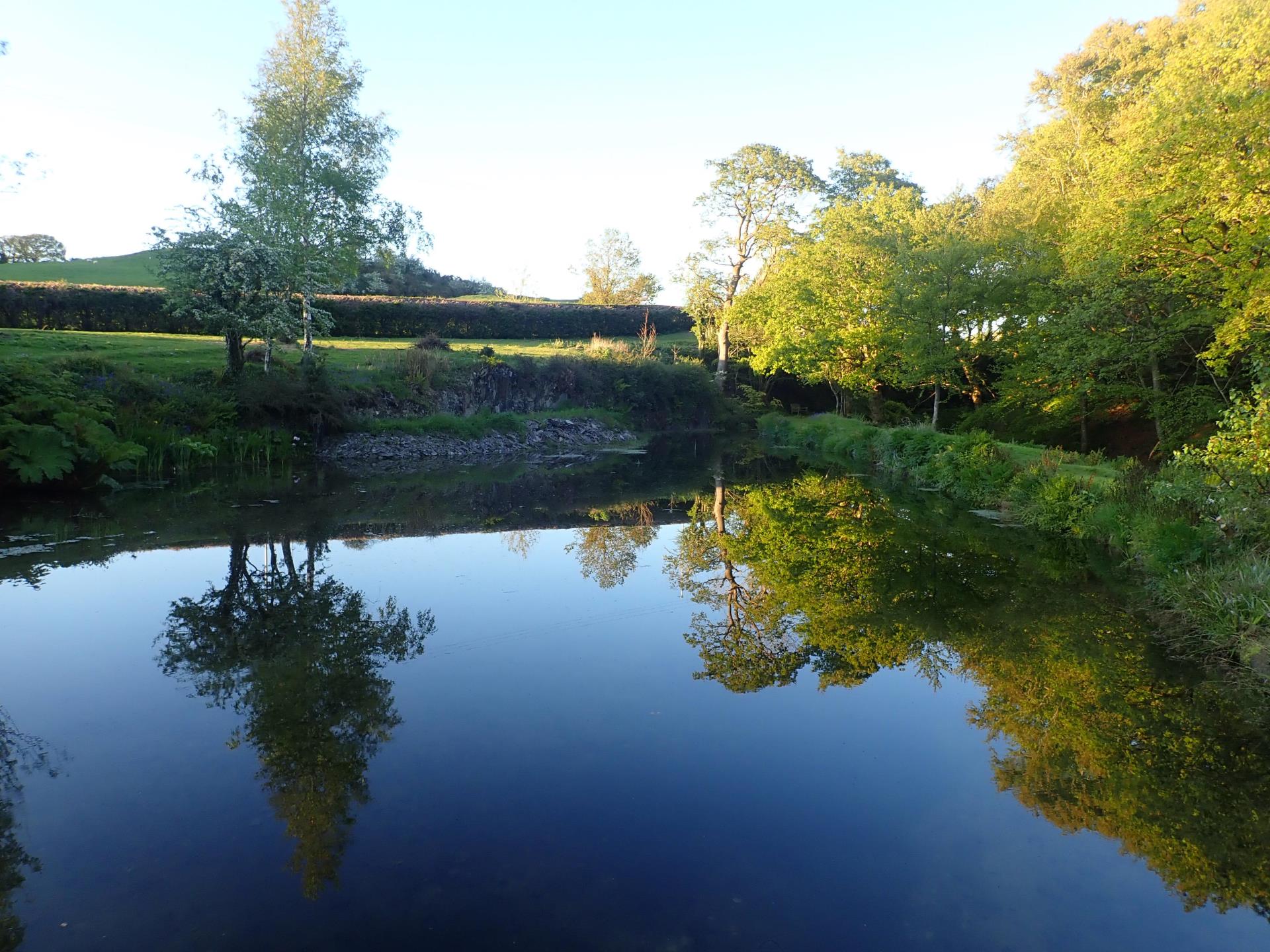 Millpond at Felin Crewi